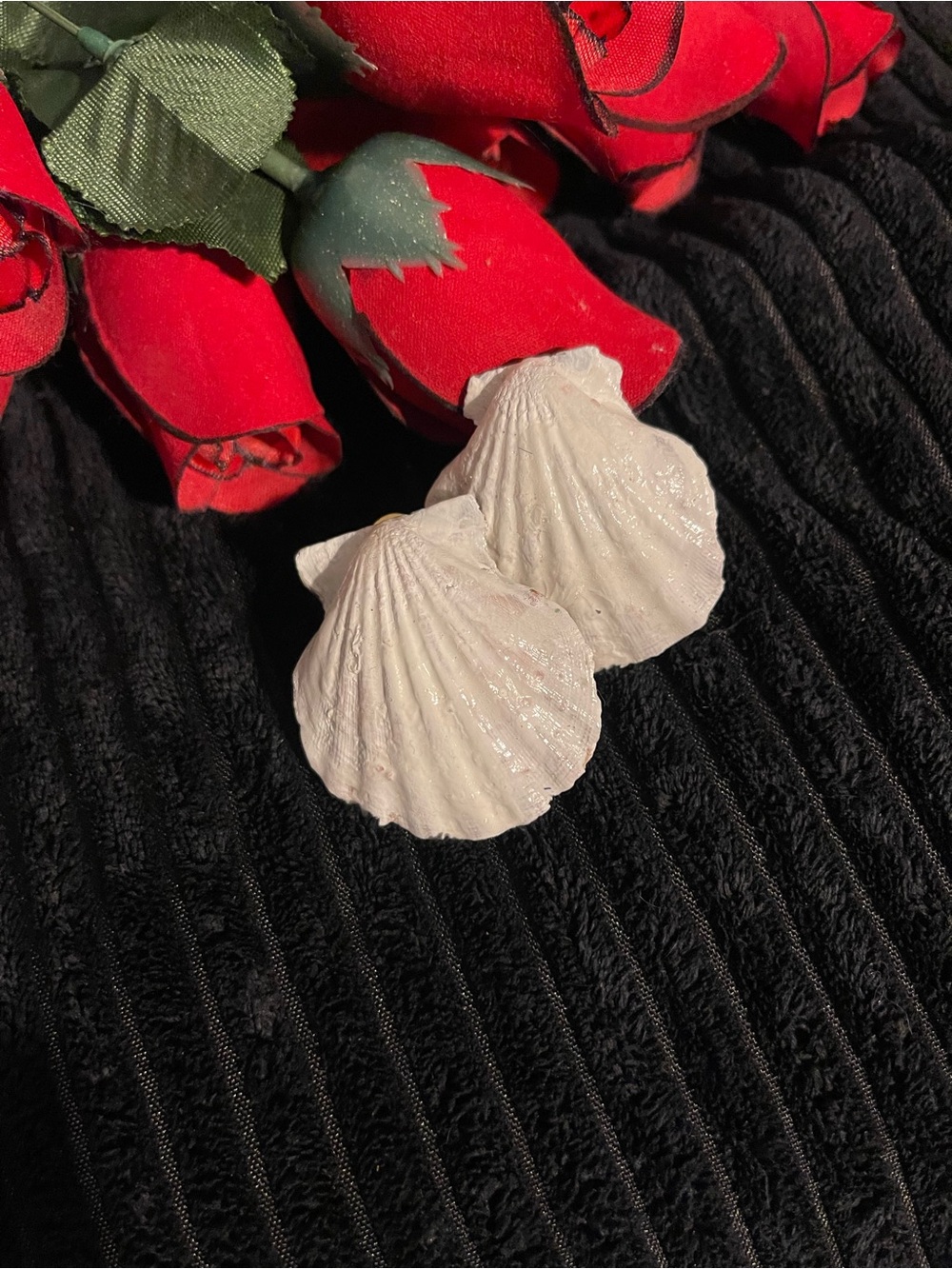 White Seashell Statement Earrings - Women Jewelry Earrings